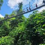 Image related to Kakum National Park