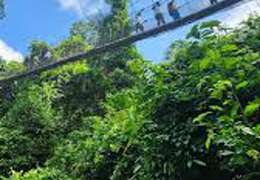 IgluCruise.Application.ViewModels.Shared.WebImageViewModel?.Description