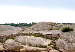 IgluCruise.Application.ViewModels.Shared.WebImageViewModel?.Description