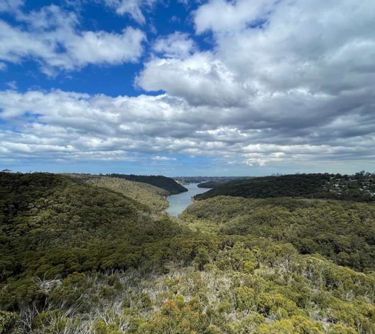 Bluff Hill Lookout 
