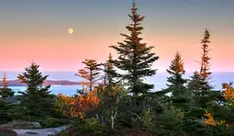 Image related to Acadia National Park