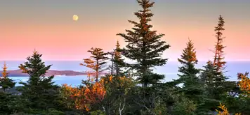 Image related to Acadia National Park