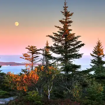Image related to Bar Harbour USA Acadia National Park