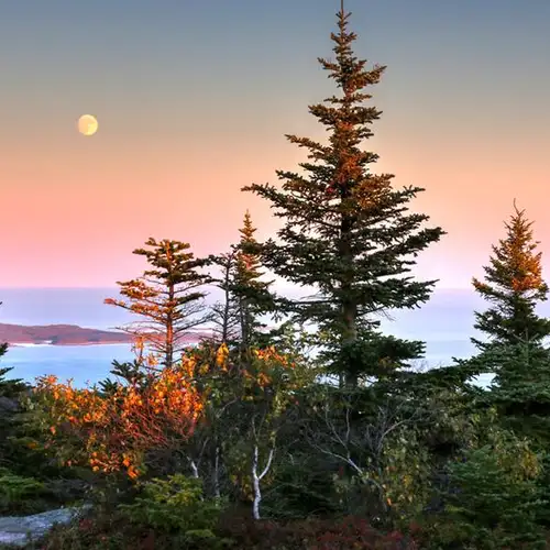 Image related to Acadia National Park