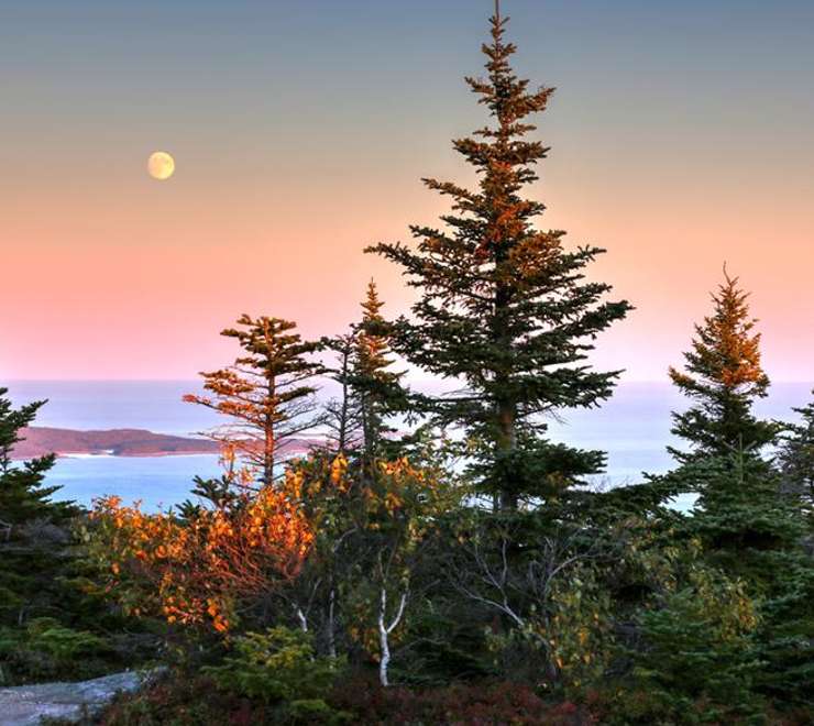 Acadia National Park