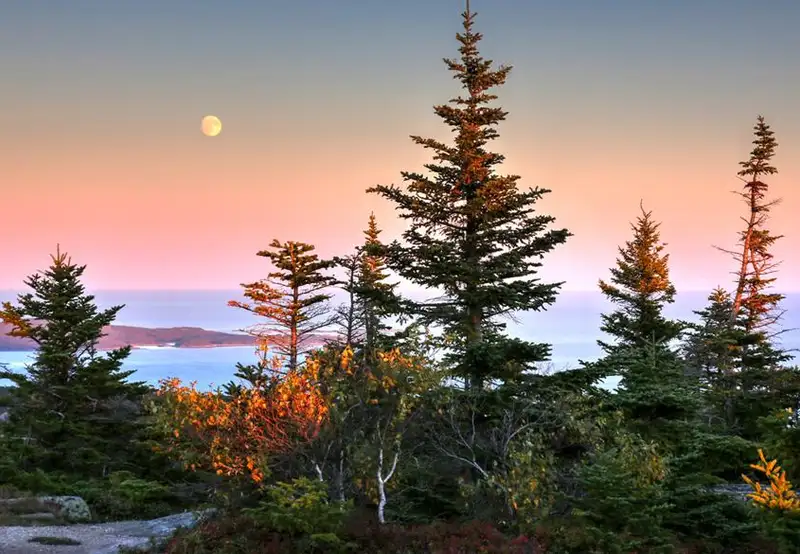 Bar Harbour USA Acadia National Park