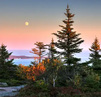 Image related to Acadia National Park