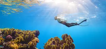 Image related to Ashmore Reef