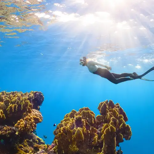 Image related to Ashmore Reef