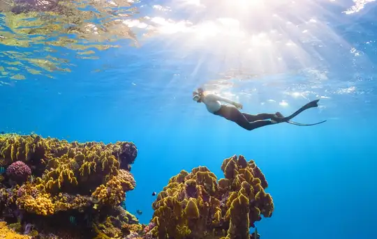 Image related to Ashmore Reef