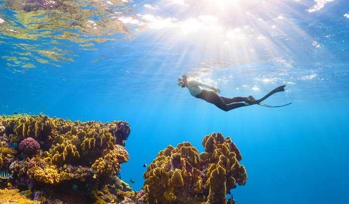 Ashmore Reef