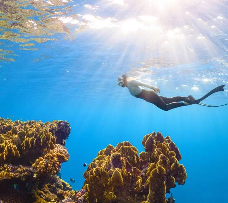 Ashmore Reef