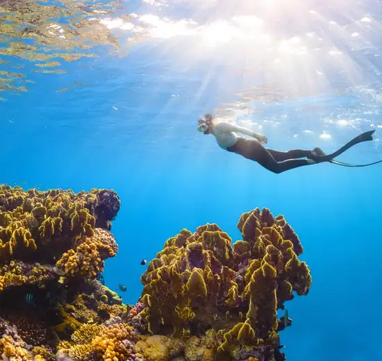 Image related to Ashmore Reef