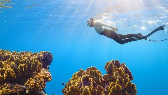 Ashmore Reef