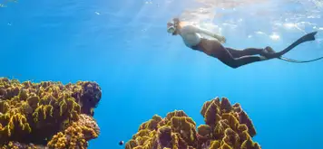 Image related to Ashmore Reef