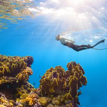 Image related to Ashmore Reef