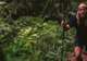 Island Nature Walks
