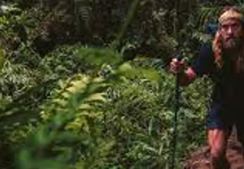 Island Nature Walks