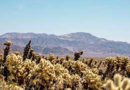 IgluCruise.Application.ViewModels.Shared.WebImageViewModel?.Description