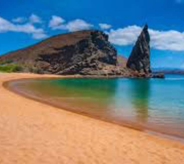 Relax on the Golden Beaches