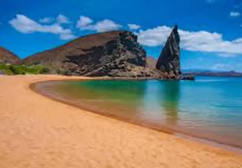 Relax on the Golden Beaches