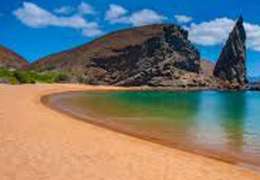 IgluCruise.Application.ViewModels.Shared.WebImageViewModel?.Description