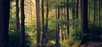 Image related to National Park