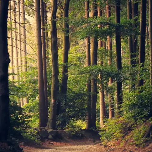 Image related to National Park
