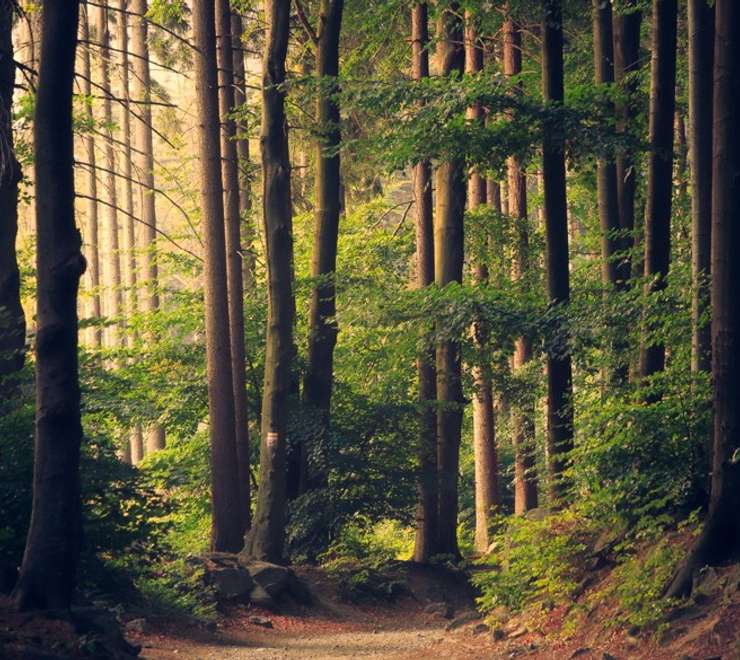 National Park
