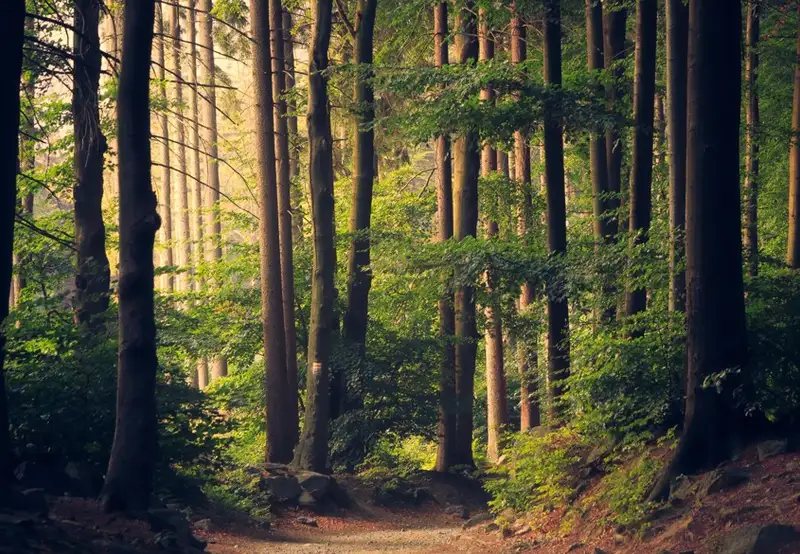 National Park