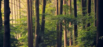 Image related to National Park