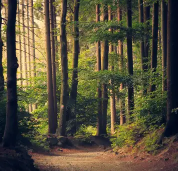 National Park