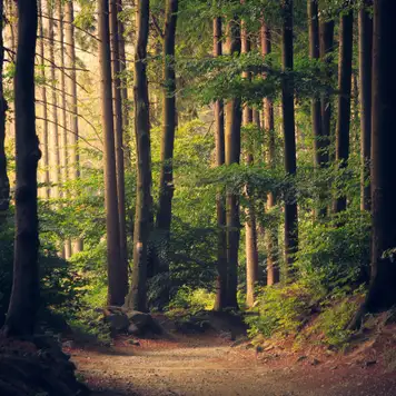 Image related to National Park