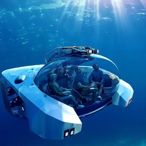 Image related to Scenic Eclipse II