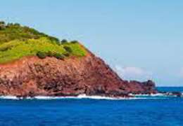 IgluCruise.Application.ViewModels.Shared.WebImageViewModel?.Description