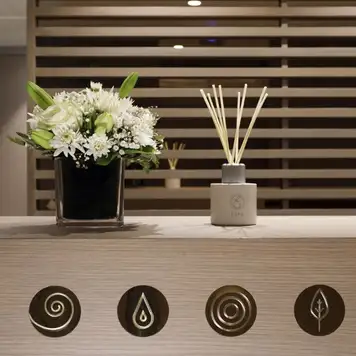 Image related to Emerald Sakara