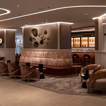 Image related to Celebrity Beyond