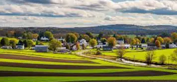 Image related to Pine Island