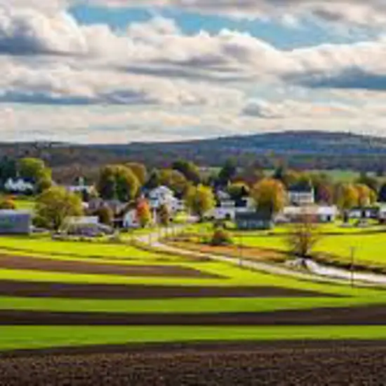 Image related to Pine Island