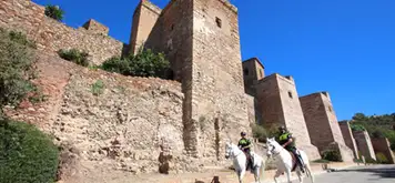 Image related to Castilo de Gibralfaro