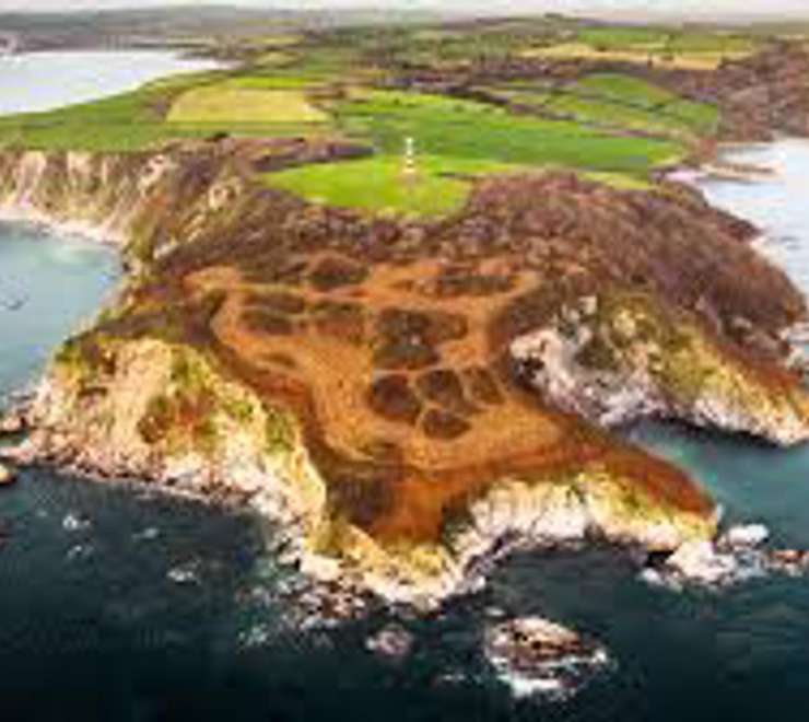 Gribbin Head