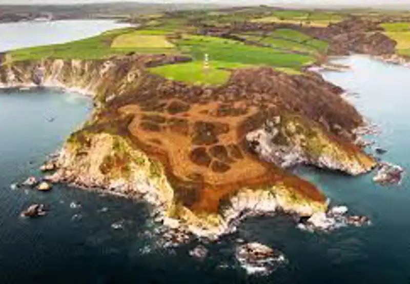 Gribbin Head