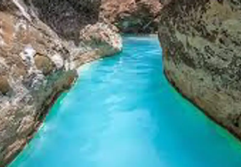 Bathe in the Sulfur Springs