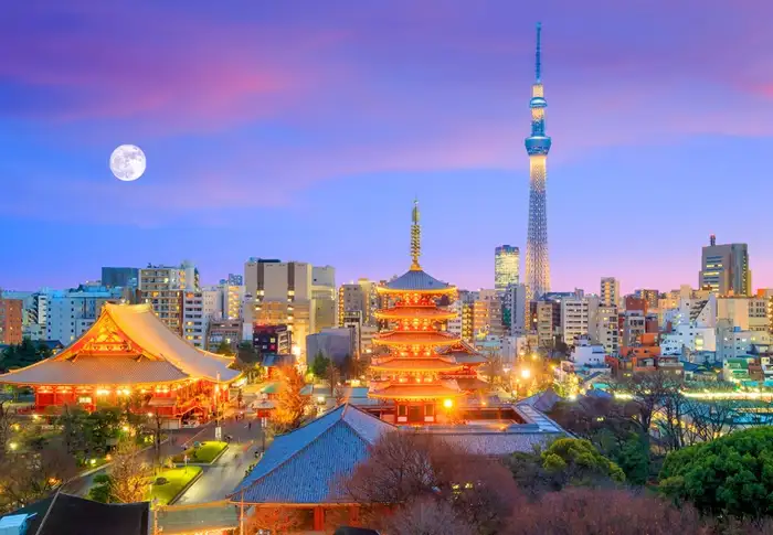 Photo of Day 20: Tokyo - Grand Tokyo Full Day tour