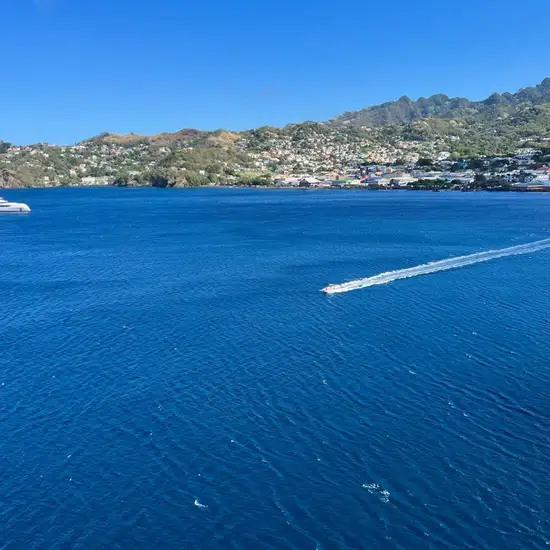 Image related to Port Elizabeth, St. Vincent  - Overnight onboard