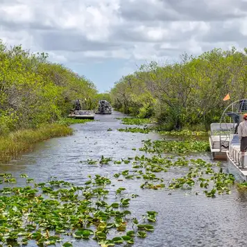 Image related to Everglades National Park Miami USA