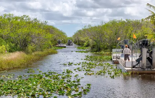 Image related to Everglades National Park 