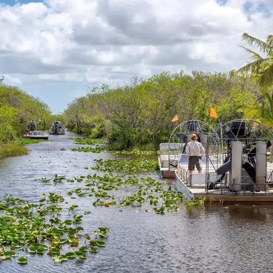 Image related to Everglades National Park 