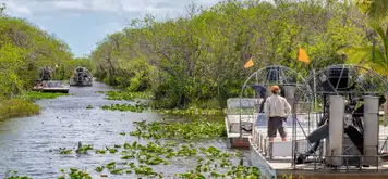 Image related to Everglades National Park 