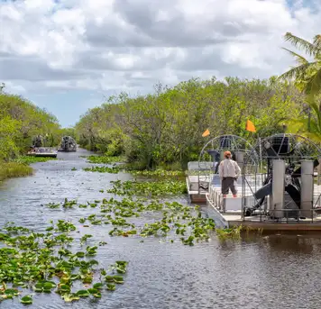 Image related to Everglades National Park Miami USA